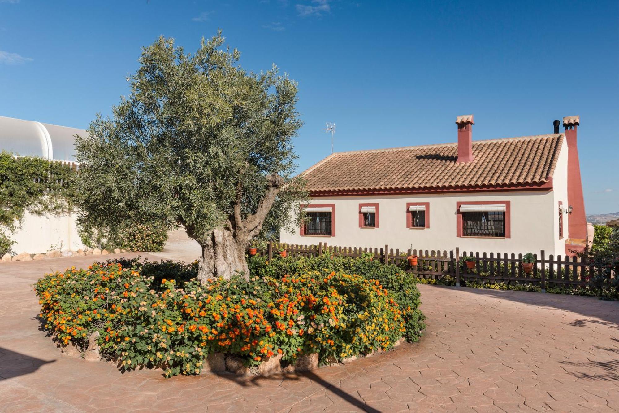 Finca Liarte Murcia Bagian luar foto